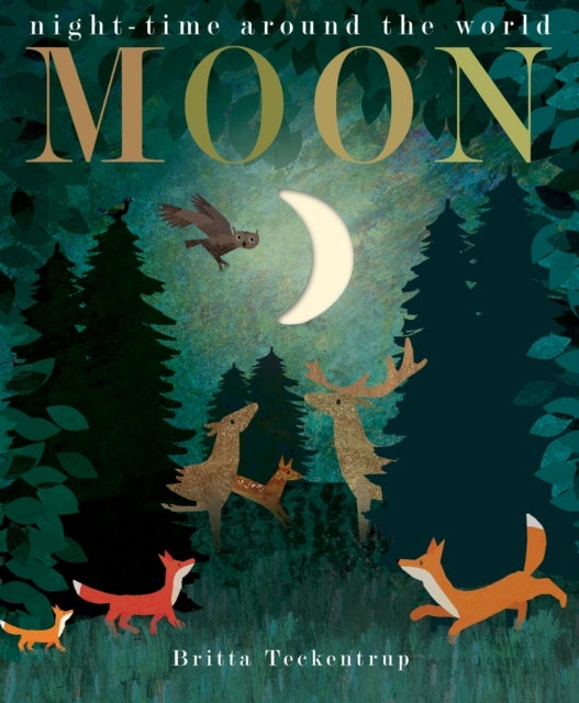 Moon - night-time around the world