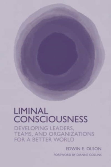 Liminal Consciousness - Developing Leaders, Teams, and Organizations for a Better World