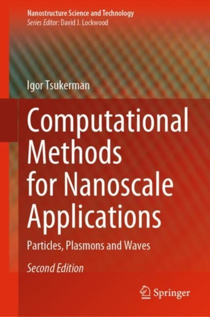 Computational Methods for Nanoscale Applications - Particles, Plasmons and Waves