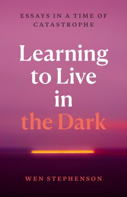 Learning to Live in the Dark - Essays in a Time of Catastrophe