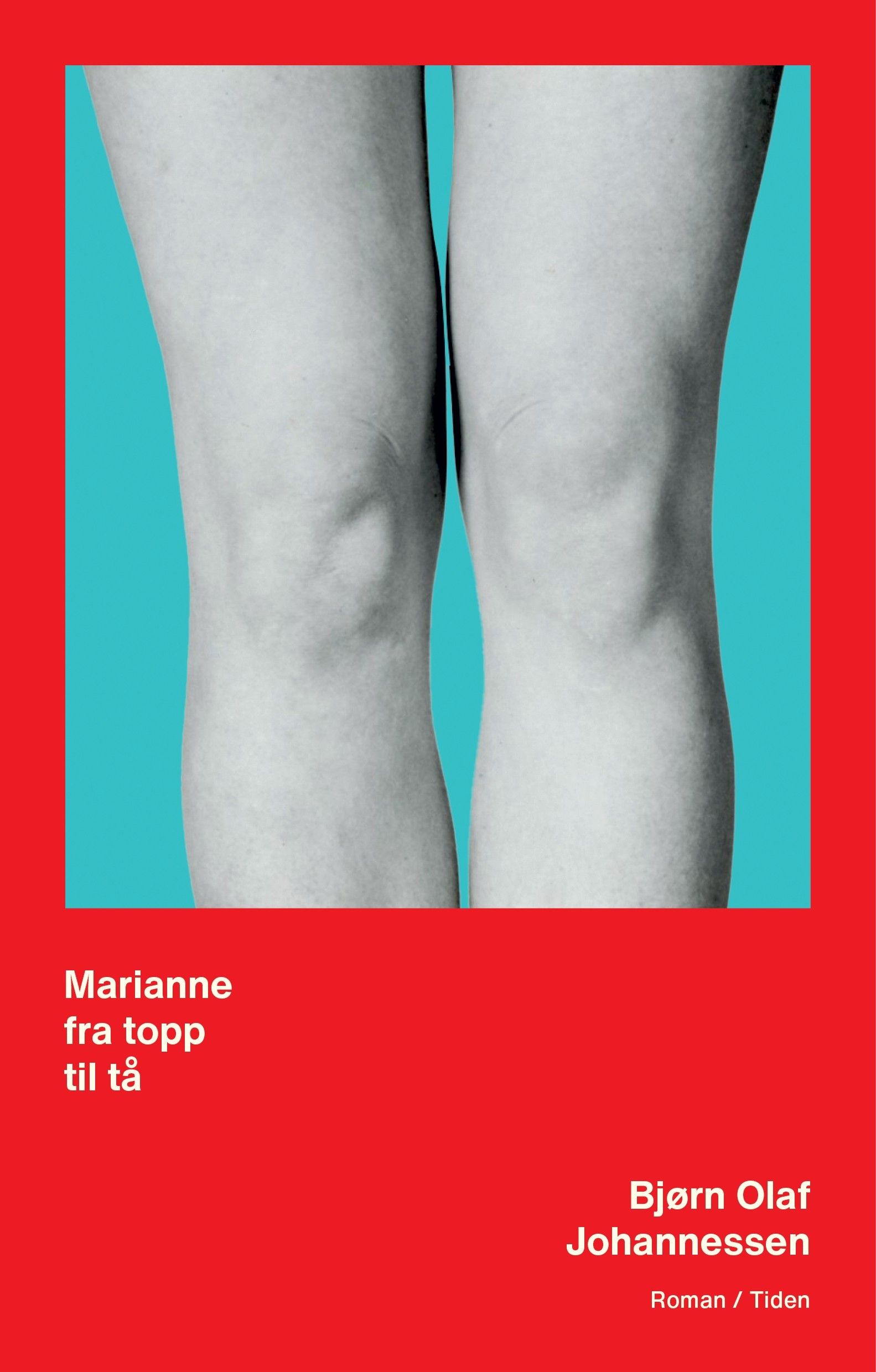 Marianne fra topp til tå - roman