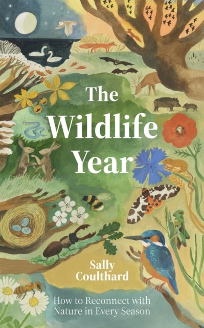 The Wildlife Year - How to Reconnect with Nature Through the Seasons