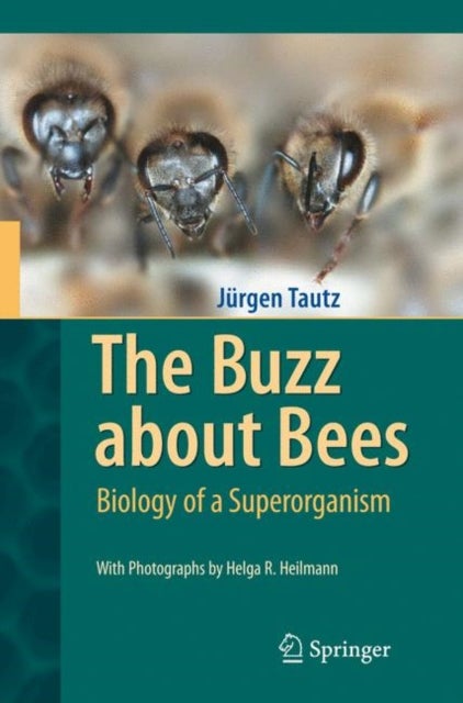 The Buzz About Bees - Biology of a Superorganism