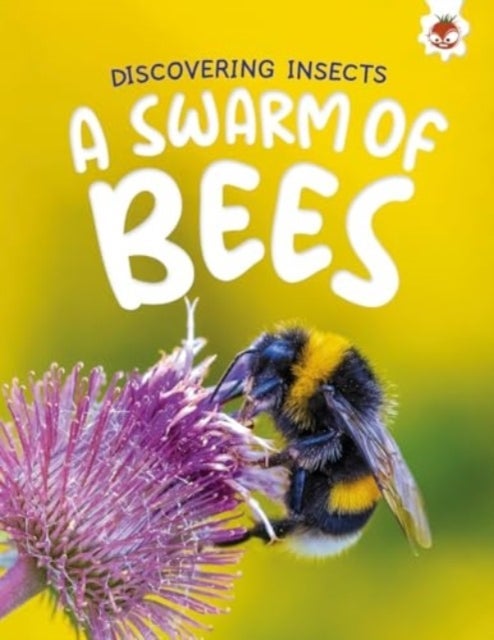 Discovering Insects: A Swarm of Bees