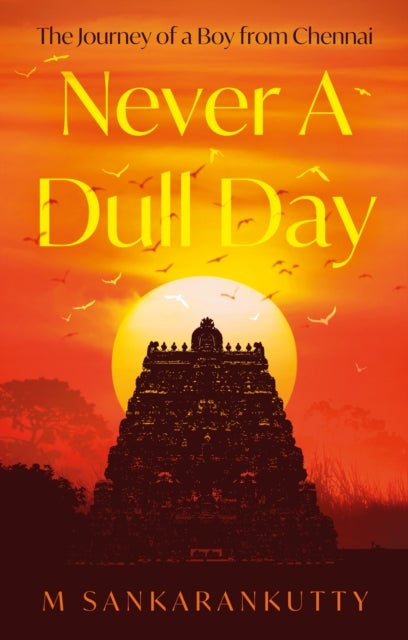 Never A Dull Day - The Journey of a Boy from Chennai