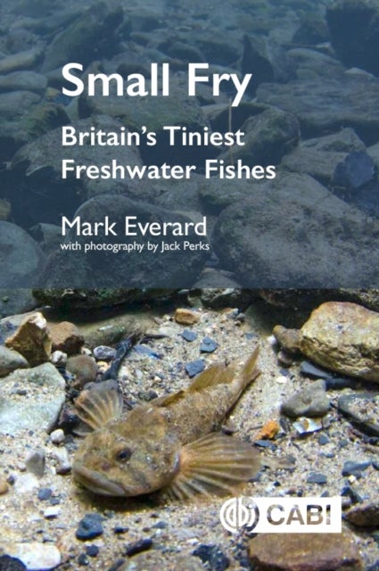 Small Fry - Britain's Tiniest Freshwater Fishes