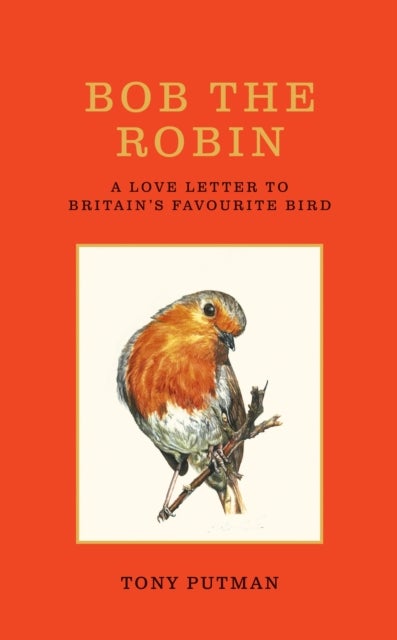 Bob the Robin - A true story of the friendship between one man and Britain's favourite garden bird