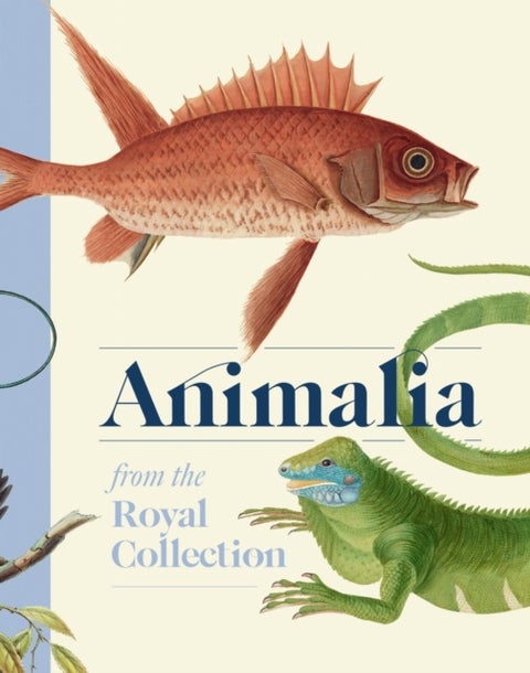 Animalia - From the Royal Collection