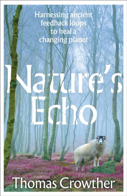 Nature's Echo - Harnessing ancient feedback loops to heal a changing planet