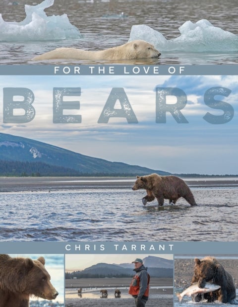 For The Love Of Bears