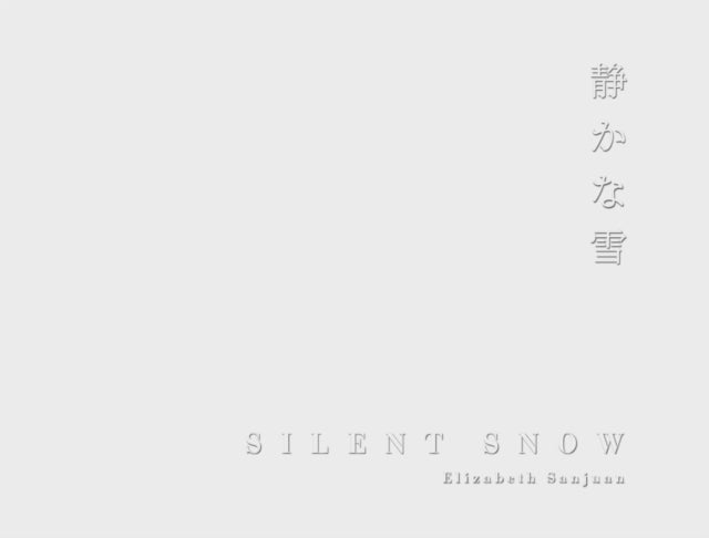Silent Snow - Hokkaido