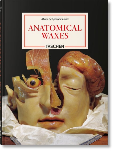 Anatomical Waxes. 45th Ed. - 45th Ed.