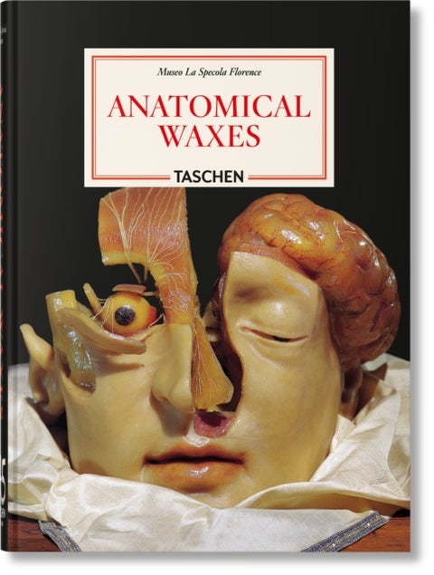Anatomical Waxes. 45th Ed. - 45th Ed.