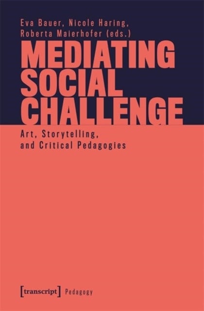 Mediating Social Challenges - Art, Storytelling, and Critical Pedagogies