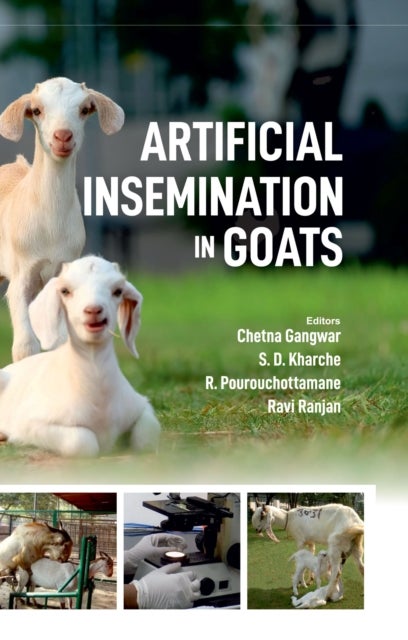 Artificial Insemination in Goats