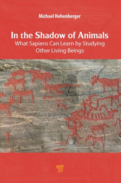 In the Shadow of Animals - What Sapiens Can Learn by Studying Other Living Beings