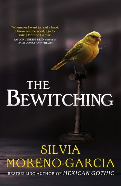Bewitching - folk horror meets dark academia in this thrilling supernatural mystery from the bestselling author of Mexican Gothic