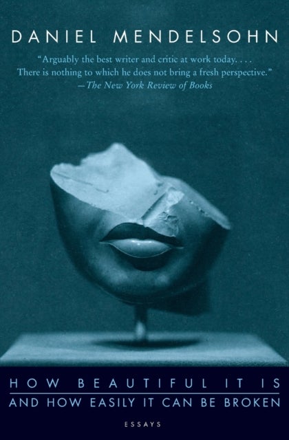 How Beautiful It Is And How Easily It Can Be Broken - Essays