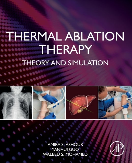 Thermal Ablation Therapy - Theory and Simulation