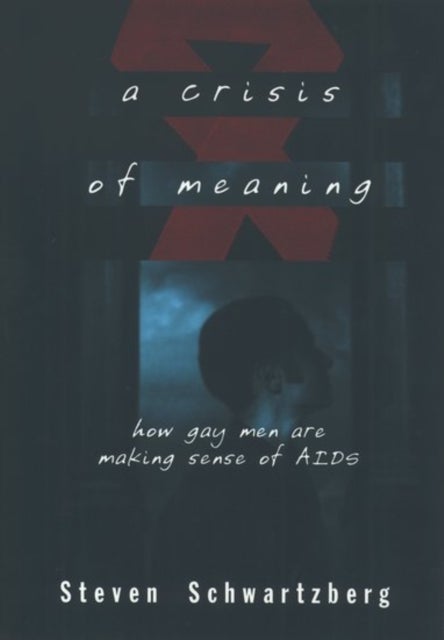 A Crisis of Meaning - How Gay Men Are Making Sense of AIDS