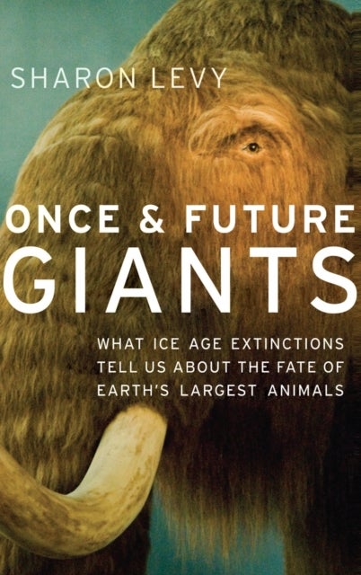 Once and Future Giants - What Ice Age Extinctions Tell Us About the Fate of Earth's Largest Animals