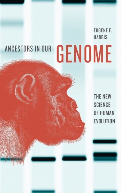 ANCESTORS IN OUR GENOME C - The New Science of Human Evolution