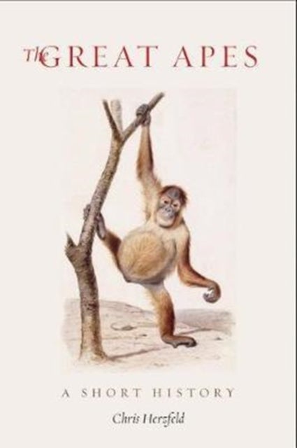 The Great Apes - A Short History