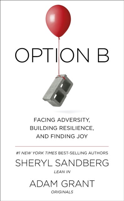 Option B. Facing Adversity, Building Resilience an - facing adversity, building resilience and finding joy