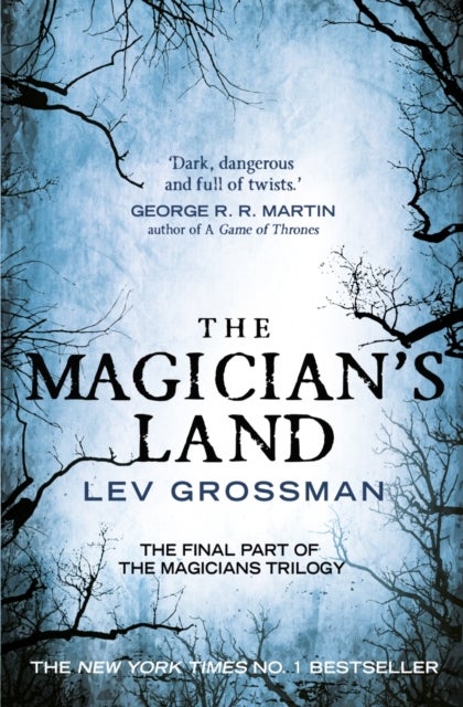 The Magician's Land. Book 3
