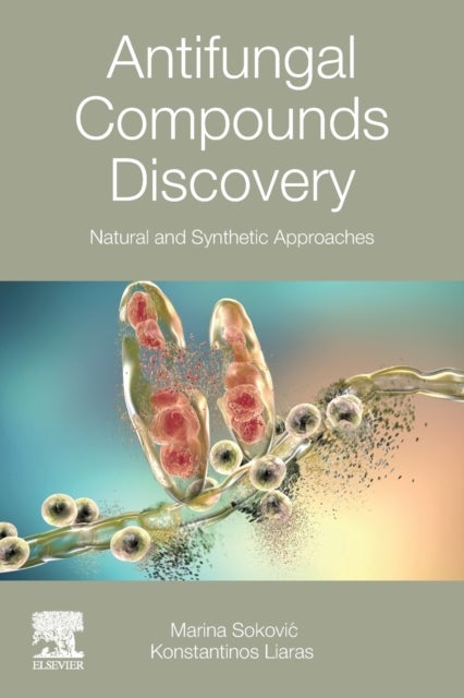 Antifungal Compounds Discovery - Natural and Synthetic Approaches
