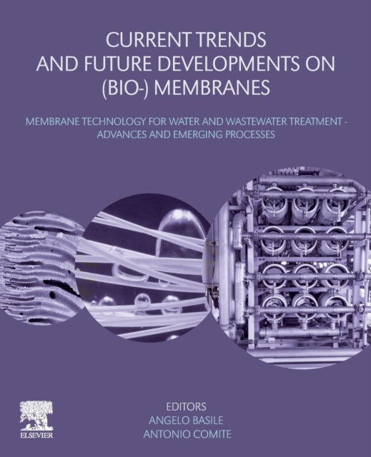 Current Trends and Future Developments on (Bio-) Membranes - Membrane Technology for Water and Wastewater Treatment Advances and Emerging Processes