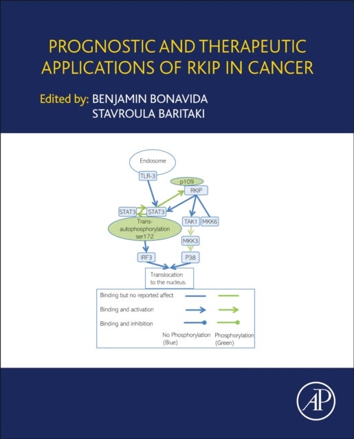 Prognostic and Therapeutic Applications of RKIP in Cancer