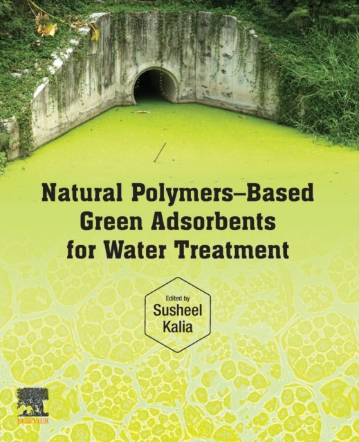 Natural Polymers–Based Green Adsorbents for Water Treatment
