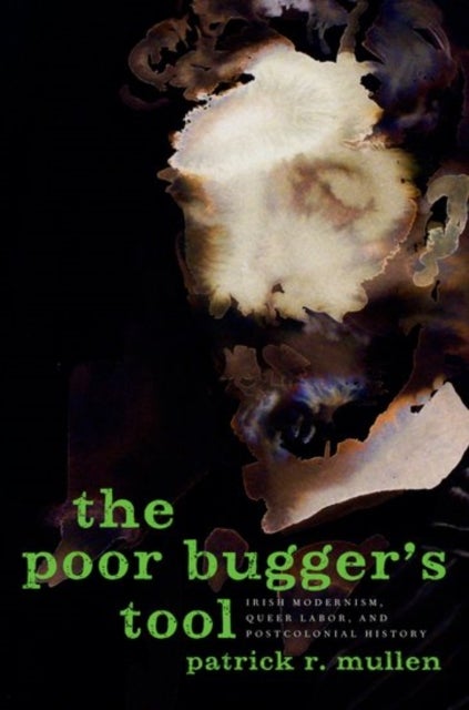 The Poor Bugger's Tool - Irish Modernism, Queer Labor, and Postcolonial History