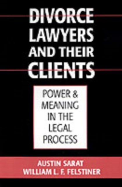 Divorce Lawyers and Their Clients - Power and Meaning in the Legal Process