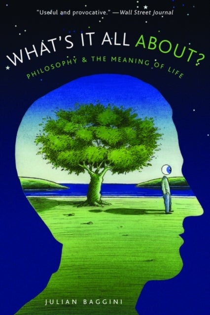 What's It All About? - Philosophy and the Meaning of Life