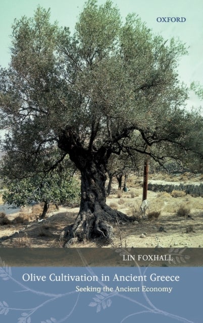 Olive Cultivation in Ancient Greece - Seeking the Ancient Economy