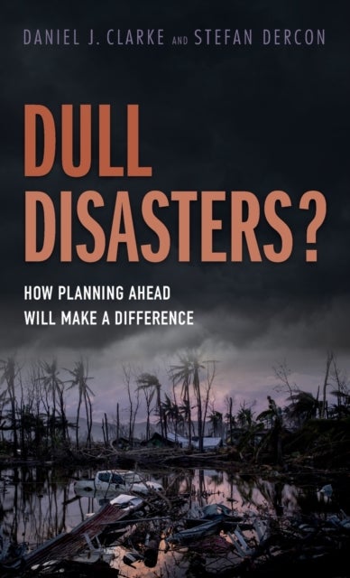 Dull Disasters? - How planning ahead will make a difference