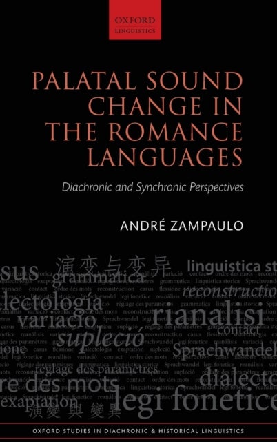Palatal Sound Change in the Romance Languages - Diachronic and Synchronic Perspectives