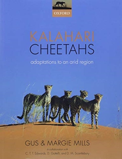 Kalahari Cheetahs - Adaptations to an arid region