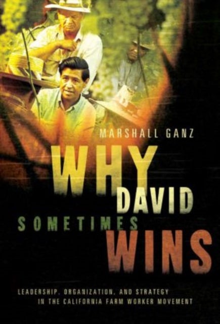 Why David Sometimes Wins - Leadership, Organization, and Strategy in the California Farm Worker Movement