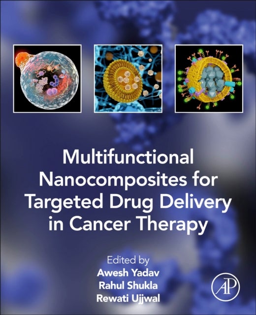 Multifunctional Nanocomposites for Targeted Drug Delivery in Cancer Therapy