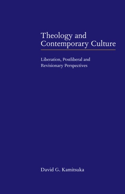 Theology and Contemporary Culture - Liberation, Postliberal and Revisionary Perspectives
