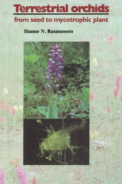 Terrestrial Orchids - From Seed to Mycotrophic Plant