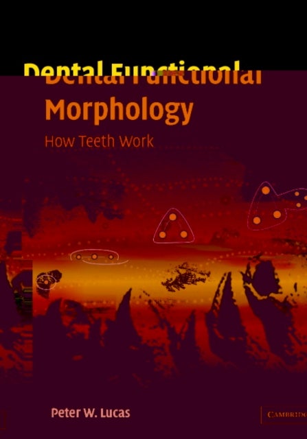 Dental Functional Morphology - How Teeth Work