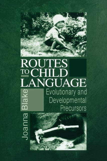 Routes to Child Language - Evolutionary and Developmental Precursors