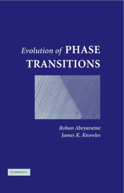 Evolution of Phase Transitions - A Continuum Theory