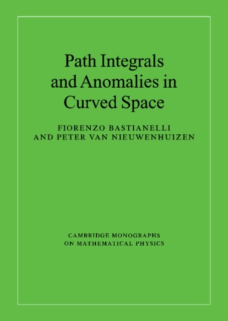 Path Integrals and Anomalies in Curved Space
