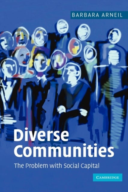 Diverse Communities - The Problem with Social Capital
