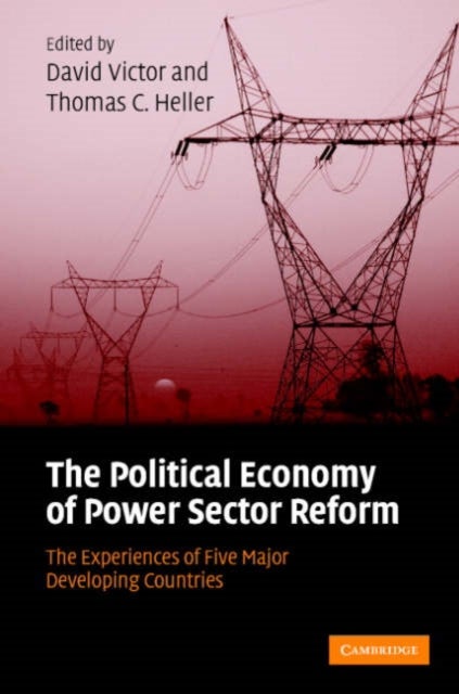 The Political Economy of Power Sector Reform - The Experiences of Five Major Developing Countries
